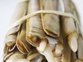 蛏子哪块不能吃,竹节蛏子哪里不能吃图解