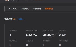 4千万粉丝一天收入多少,如何赚4000万