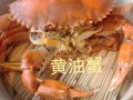 上海黄油蟹哪里最好,哪里的黄油蟹好吃又便宜