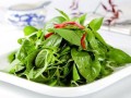 荆芥都是哪里人吃,荆芥菜哪里吃法最好