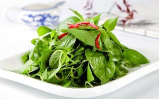 荆芥都是哪里人吃,荆芥菜哪里吃法最好