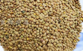 哪里有卖鸡豌豆（桃豆是什么）