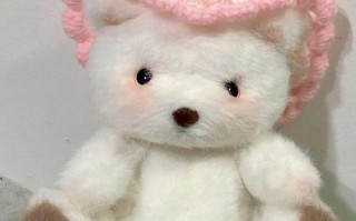 阿水熊猫奶茶怎么样（给我的宠物小熊起个名字）