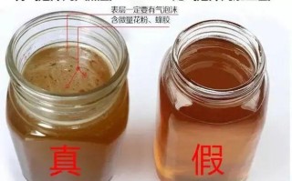 蜂蜜的代理怎么样（蜂蜜的代理怎么样做）