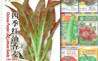 甜的什么填空,哪里菜最甜