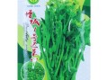 广东菜心哪里有卖（请问你有增城迟菜心的种子吗？或者我要买到菜种子要去哪里买，我想在梅州种植）
