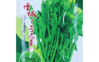 广东菜心哪里有卖（请问你有增城迟菜心的种子吗？或者我要买到菜种子要去哪里买，我想在梅州种植）