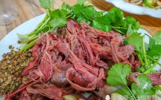 哪里狗肉最有名（哪里狗肉最有名气）