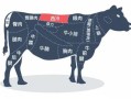牛排是牛身上什么部位的肉啊,牛排肉是牛的哪里肉啊