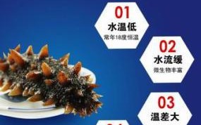 宁波哪里卖海参（宁波哪里卖海参好）