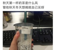 蜜雪秀怎么样（秋天的第一杯奶茶还有别的吗）