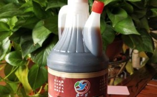 哪里的陈醋最好（哪省的白醋最好）