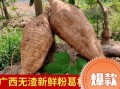 新鲜葛根哪里有（新鲜葛根哪里有卖）