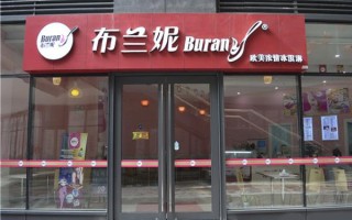 布兰妮是什么,布兰妮冰淇淋加盟怎么样啊