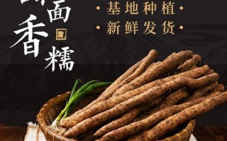 河南淮山产地哪里最好,淮山哪里的好吃