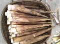 竹笋哪里的好（冬笋哪个地方的好）