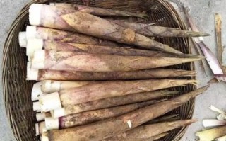 竹笋哪里的好（冬笋哪个地方的好）