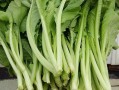 芥菜发苦是怎么回事,芥菜是苦的么