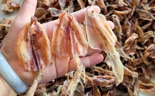 哪里的鱿鱼干最好（哪里的鱿鱼干最好最正宗）