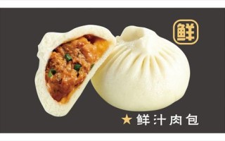 鲜汁肉包加盟怎么样（鲜汁肉包怎样做才有汤汁？谢谢）