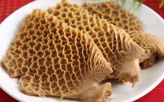毛肚是牛的哪里（毛肚是牛的什么部位）