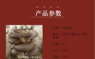 蘑菇包产自哪里（蘑菇包批发价）
