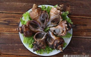 海螺哪里好吃（海螺哪里好吃又便宜）