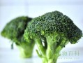 西兰花哪里最有营养（西兰花哪个部位可以吃）