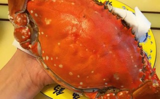 蟹肉哪里刷（蟹肉哪里掉落）