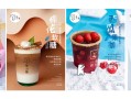 果奔鲜小咖是什么产品,茶小咖奶茶加盟费多少