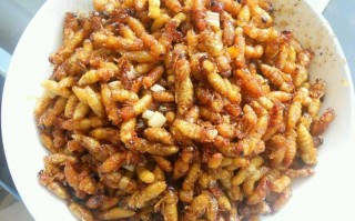 蜂蛹哪里菜（取蜂蛹的最佳方法）
