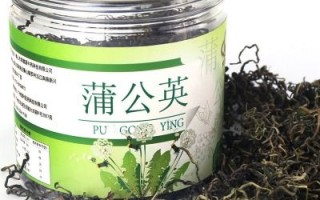 蒲公英哪里产地的好,哪里的蒲公英最好公英茶哪的产地好