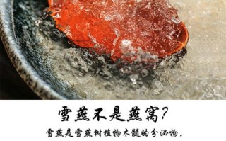 哪里买雪燕正宗（哪种雪燕比较好）