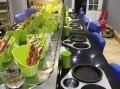 怎么样经营旋转小火锅（怎么样经营旋转小火锅店）
