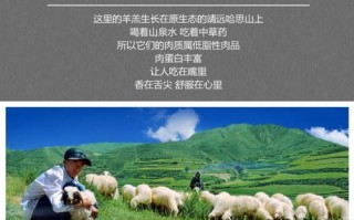 网上哪里买羊肉比较好（想在淘宝买羊肉，哪家最靠谱）