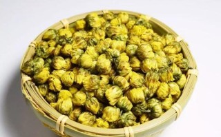 最好的胎菊产自与那里,胎菊哪里产的最好最正宗