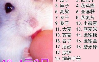 如何辨别布丁、奶茶、银狐是不是纯种的?它们各有什么特点？布丁反色的几率有多大,辨别奶茶怎么样好喝