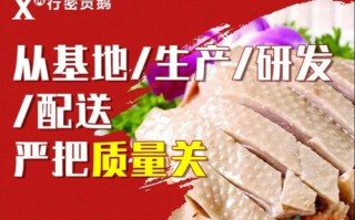 加盟行密贡鹅利润怎么样（加盟行密贡鹅利润怎么样啊）