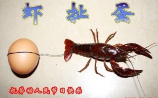 虾扯蛋模具哪里买（虾扯蛋模具哪里买）