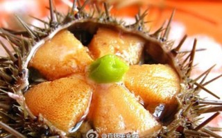 海胆哪里能吃（威海海胆哪里吃）