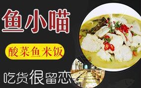 鱼小喵加盟费怎么样（喵渔啥意思）