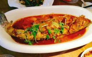 怎么经营压锅菜怎么样（压锅鱼特点）