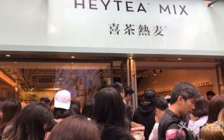 加盟喜茶热麦怎么样（加盟喜茶热麦怎么样啊）
