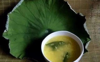 荷叶粥的荷叶在哪里买（荷叶粥的荷叶在哪里买到）