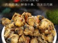 全贝干哪里有的买（全贝干怎么做好吃）