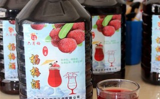 杨梅酒哪里的好喝（杨梅酒哪里的好喝一点）