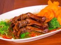 海鸡脚吃哪里（海鸡脚吃哪里的肉）