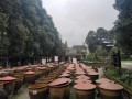 豆汤饭是哪里的（从四川博物馆出来可以去哪里吃）