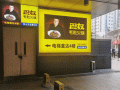 巴奴平台怎么样（巴奴有限公司）