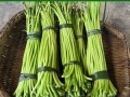 红薯杆哪里有卖（红薯杆子怎么保存才能永远新鲜）